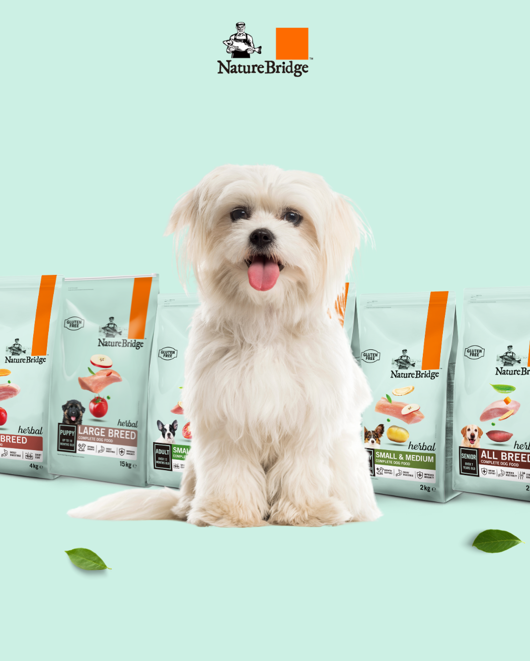 Nature bridge dog deals food