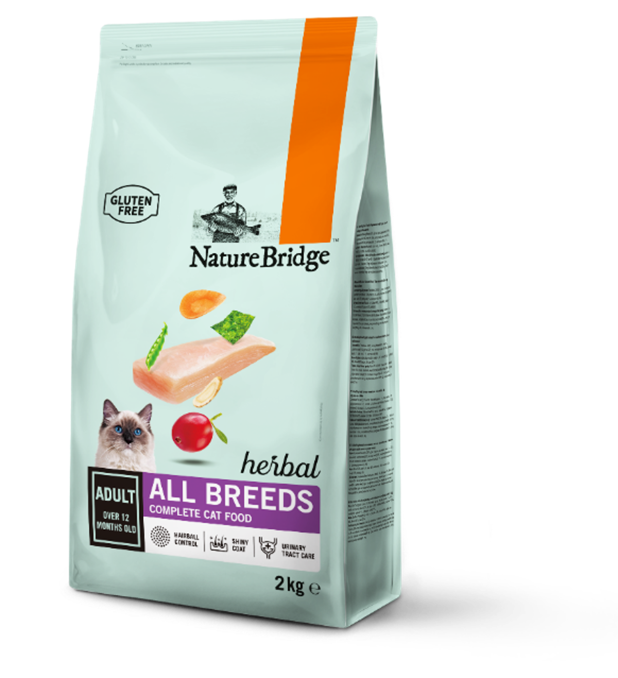 Nature bridge cat deals food
