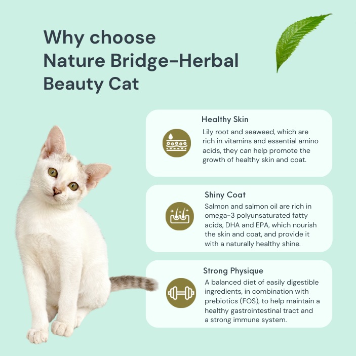 Beauty Cat Herbal