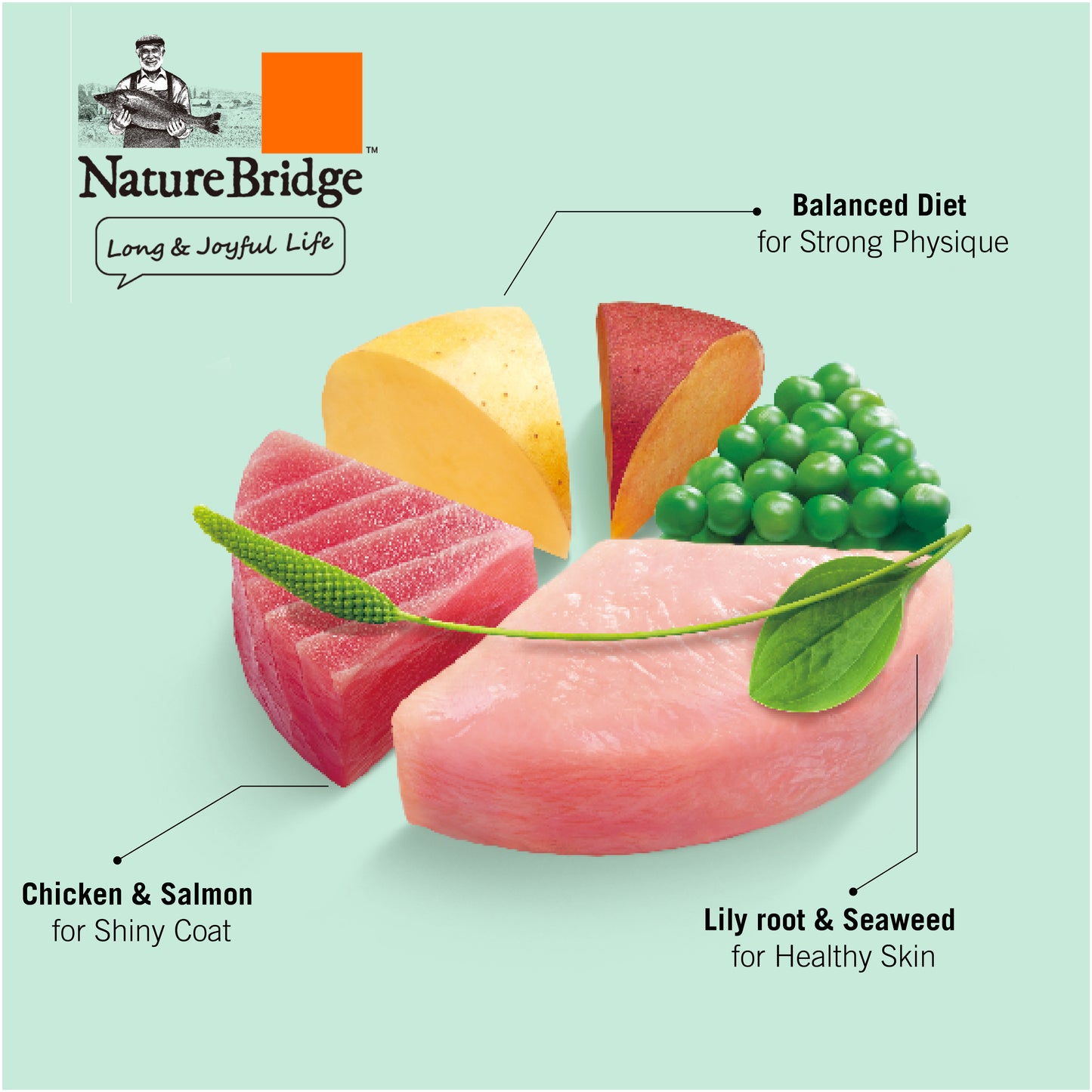 NatureBridge Beauty Cat-Complete Food-All Life Stages- Balanced Diet