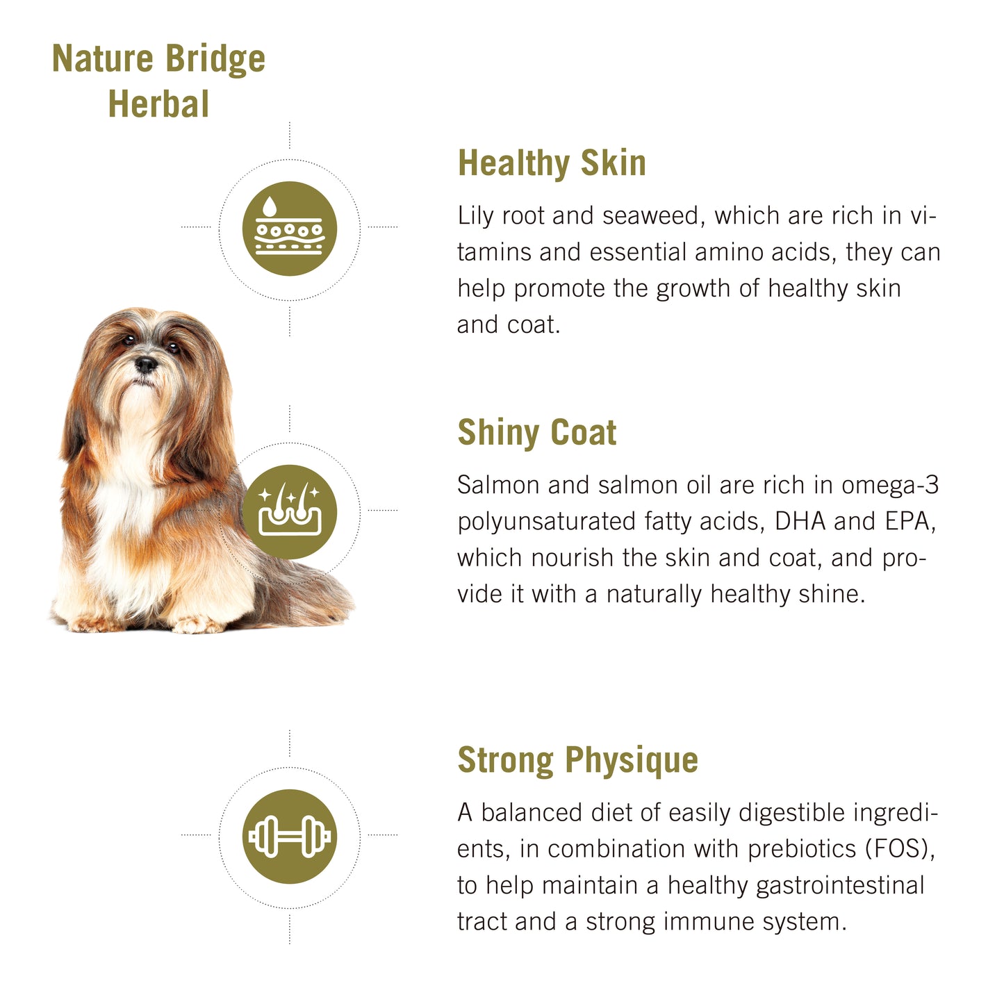 NatureBridge-Beauty Dog - Complete Food - All Life Stages- Herbal- Healthy Skin- Shiny Coat- Strong Physique