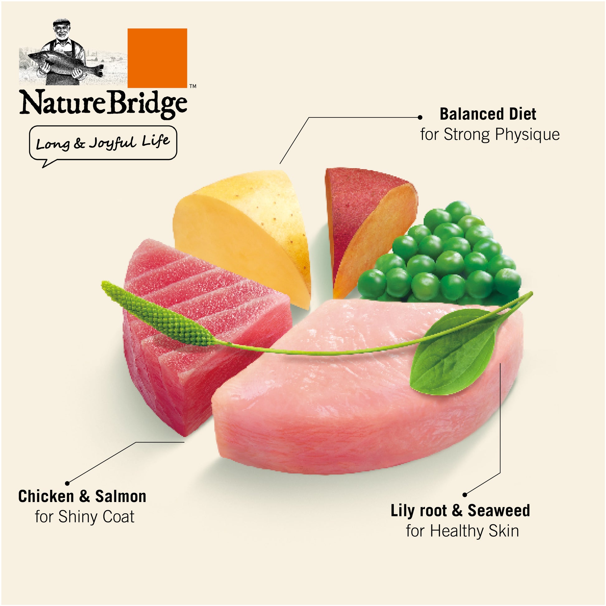 NatureBridge-Beauty Dog - Complete Food - All Life Stages- Balanced Diet