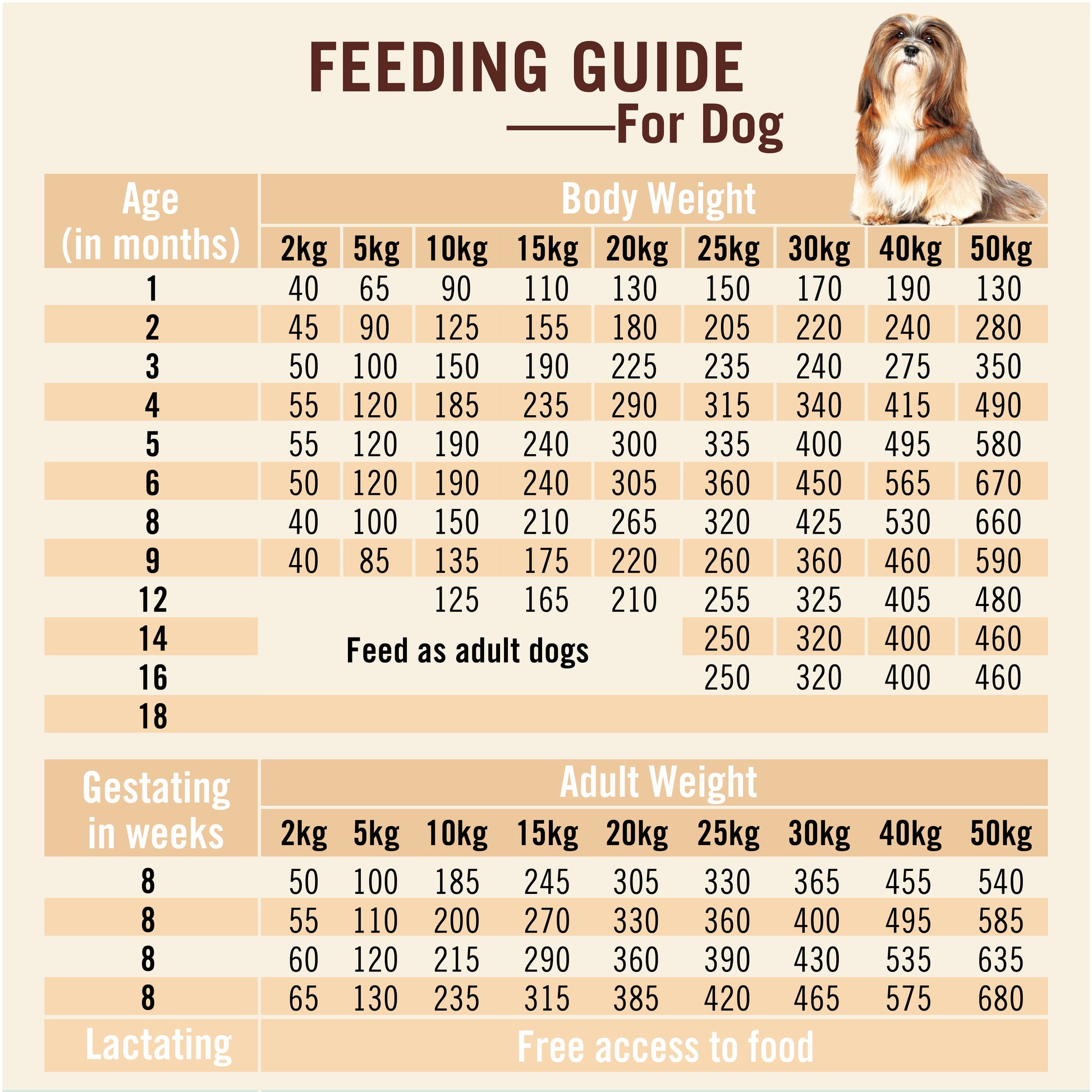 Canidae puppy food feeding chart shop
