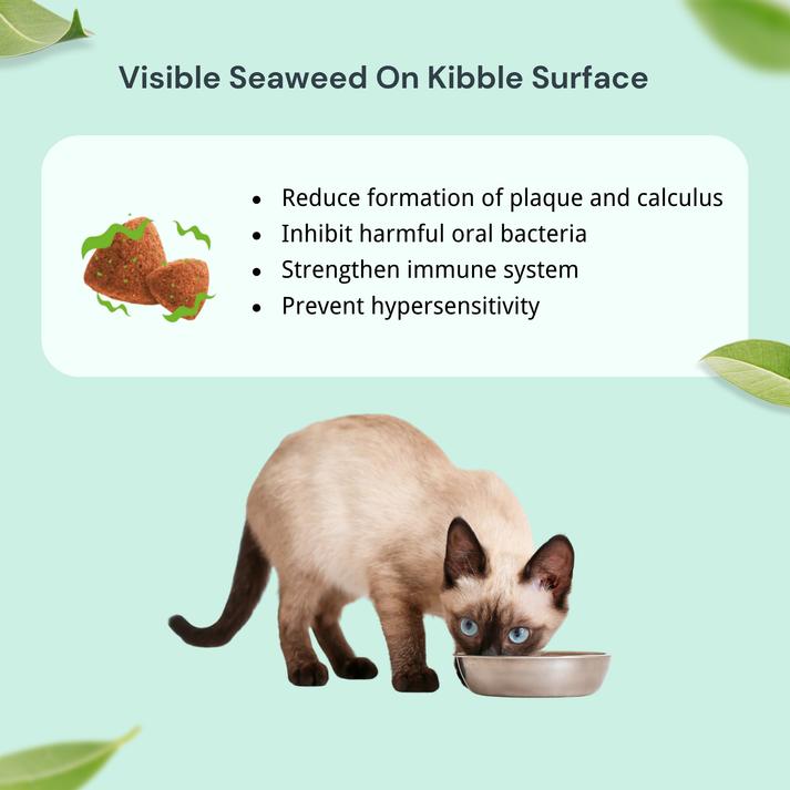 NatureBridge Herbal Complete Food for Beauty Cat for All Life stages
