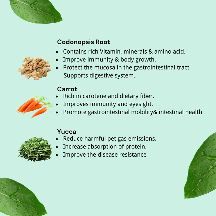 NatureBridge Herbal Complete Food for Beauty Dog for All Life Stages